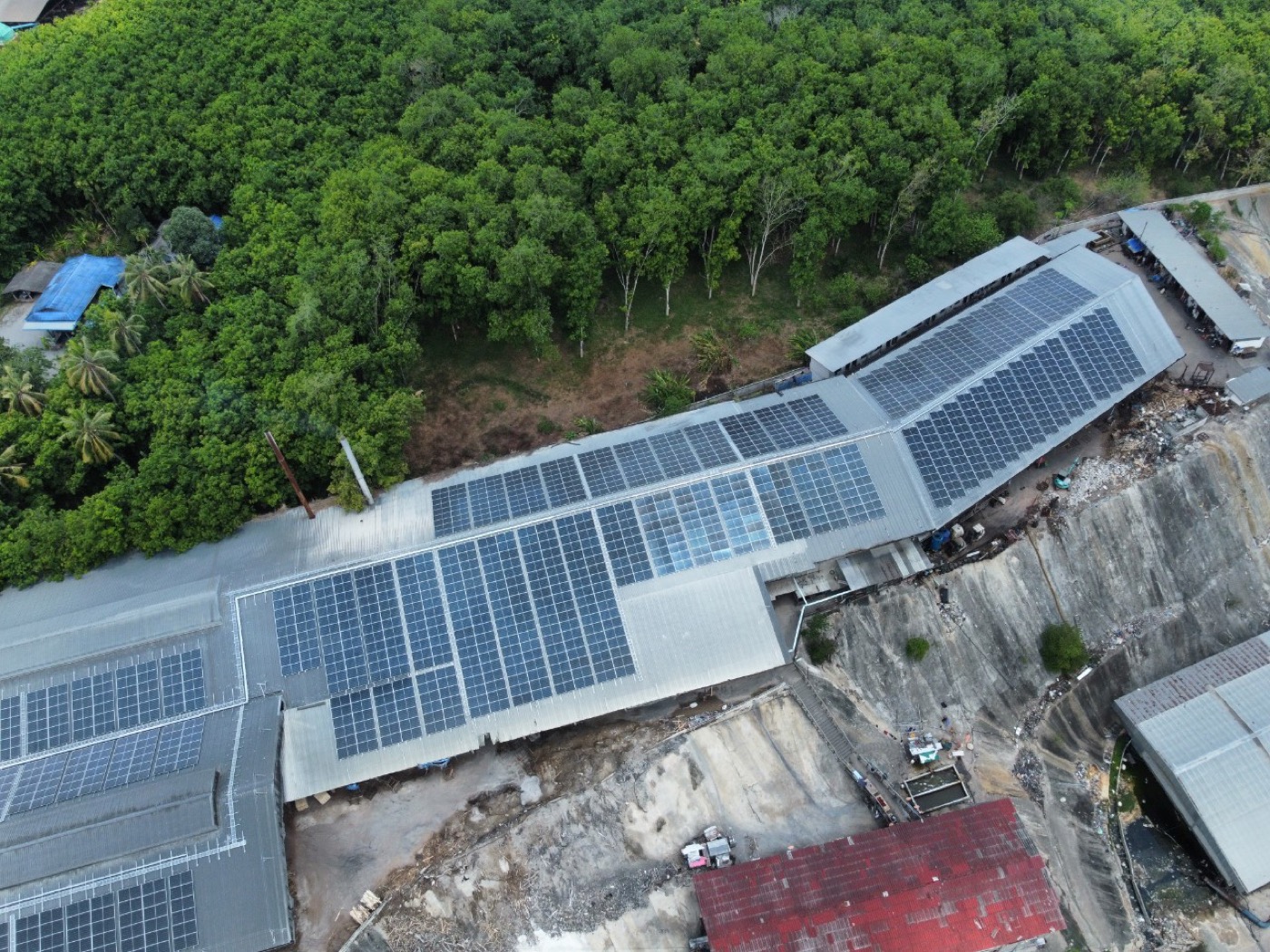 Neotech Plywood Co., Ltd. — รูปที่ 7