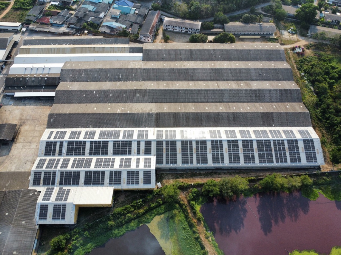 Thai Pineapple Canning Industry Co., Ltd. (TPC) — รูปที่ 6